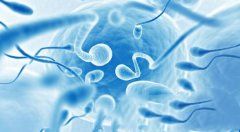 ��ΰ�����̥˳���Ŵ�' /></a></div>
		<div class=